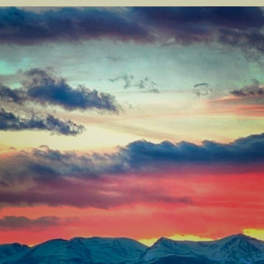 Meet your Posher, Cynthia